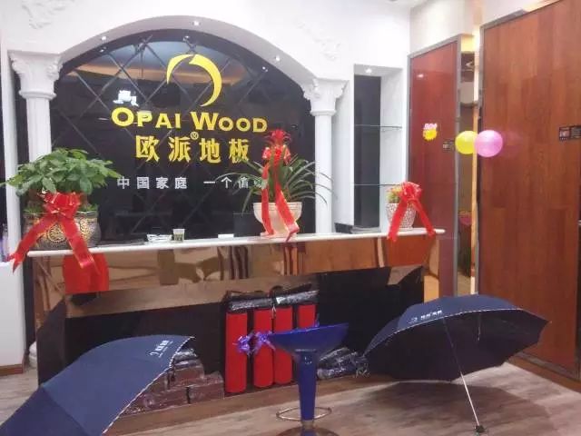 讓夢想起航—歐派地板圓夢助學貴州行站