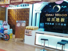 山西陽(yáng)泉?dú)W派地板專賣店11.18特惠活動(dòng)