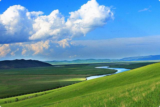 呼倫貝爾新店開業