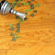 OPD-FS05 三層地?zé)岬匕?/></a>
					<a href=