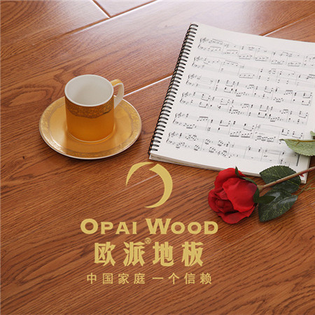 木地板上的龍骨居然會是蟲源